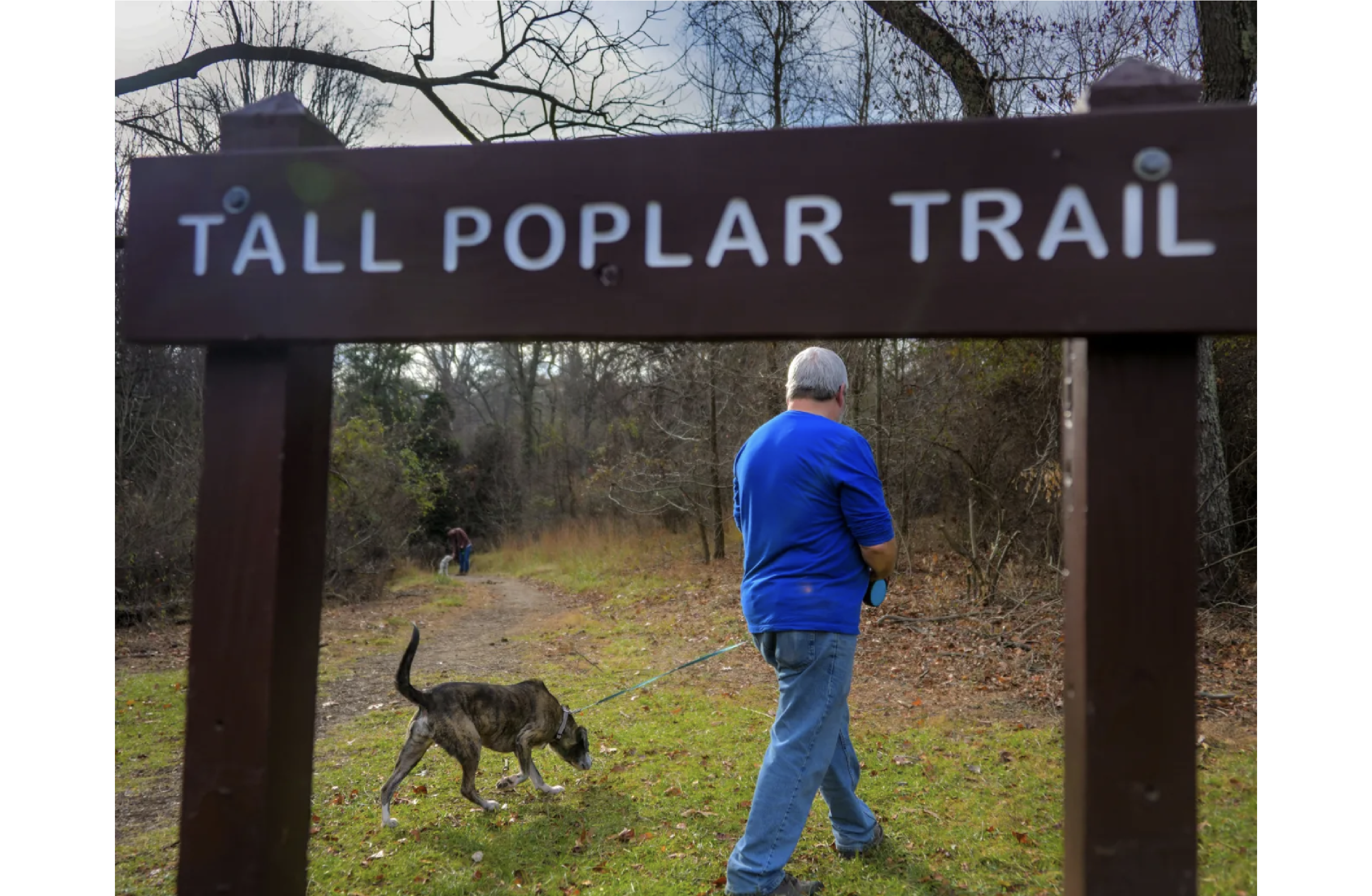 Bruce Clopein can be seen walking with a dog at the head of the Tall Poplar Trail under a sign that says Tall Poplar Trail